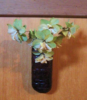 ドライに生きる
