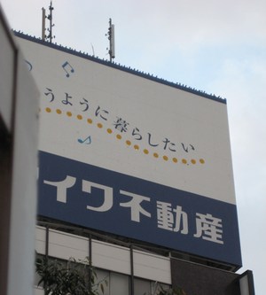 ヒッチコックの「鳥」みたい！