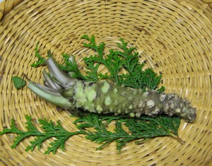ワサビの香りに感激