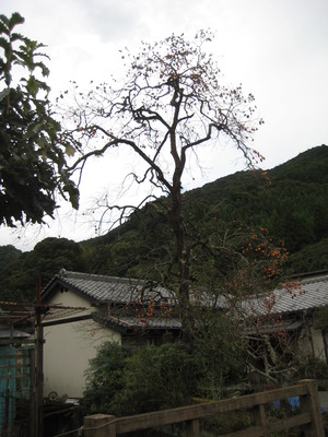 丸子泉ヶ谷芸術祭