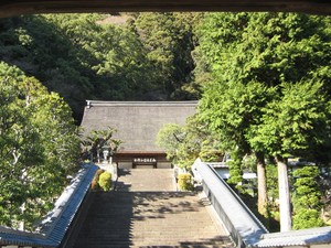 初詣