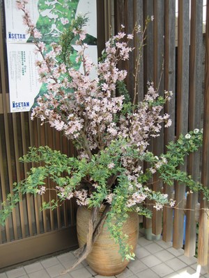 小さな華展