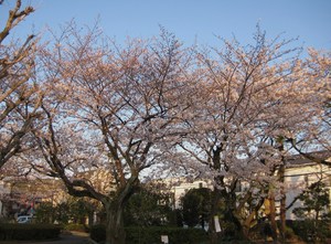 如月の望月のころ