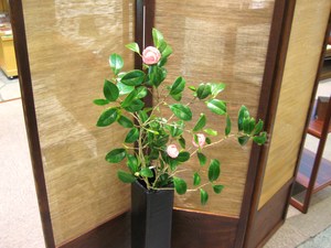 展示会アテント