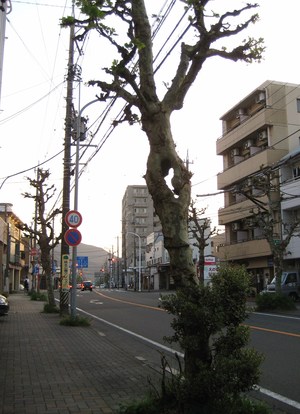 むこうが見える