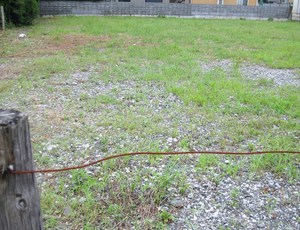 妄想・地域のプライベートガーデン