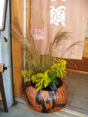 土狸庵先生展示中