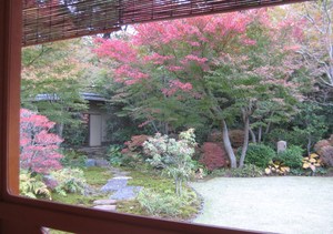 お茶会in紅葉山