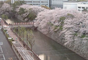柳は緑花は紅