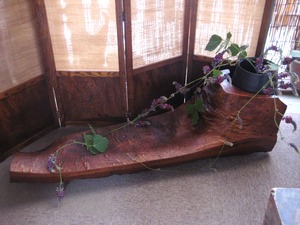 葛の花