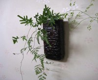 花器と草花