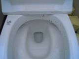 トイレの神様を聴きながら