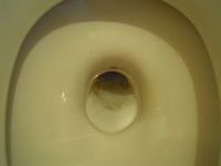 トイレ掃除