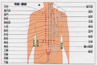 背候診（はいこうしん）について