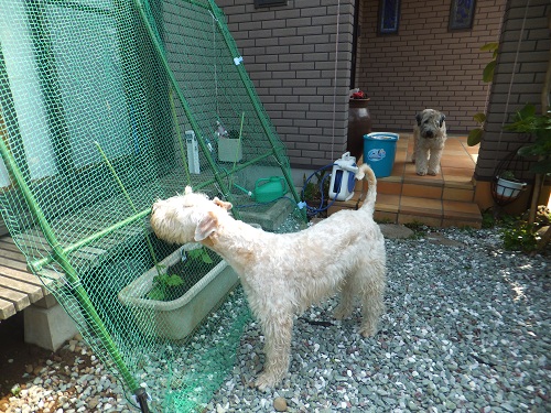 強いなぁ～