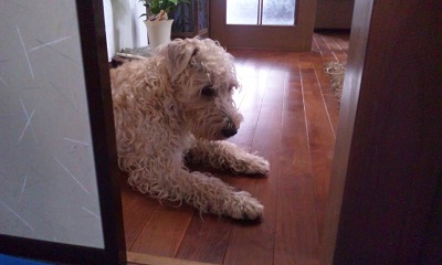 性格かしら？