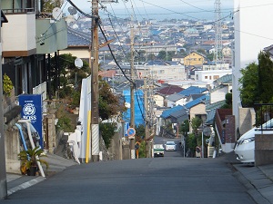 りん爺のお散歩