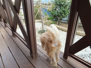 芋虫は誰の物？