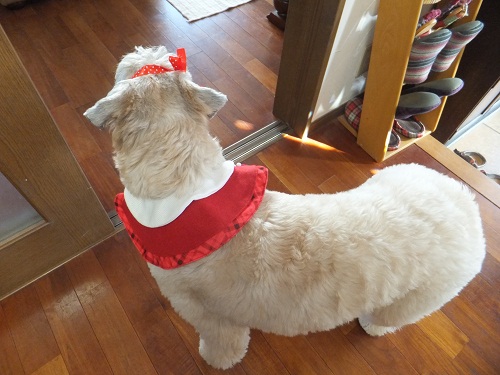 私って可愛い？！