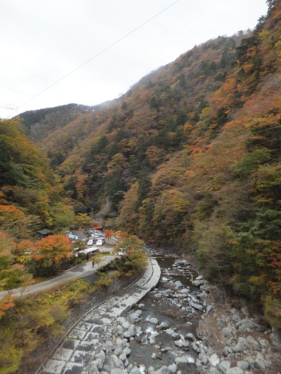 紅葉