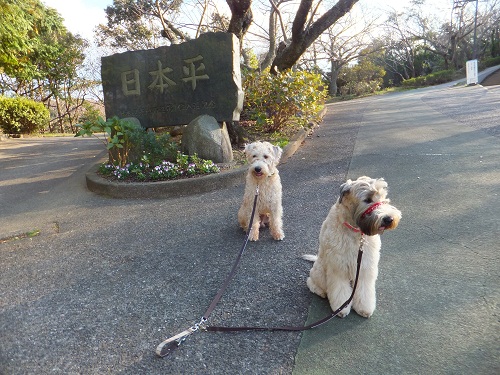 富士山が見たい！