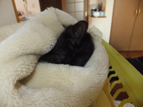 あなた、誰？