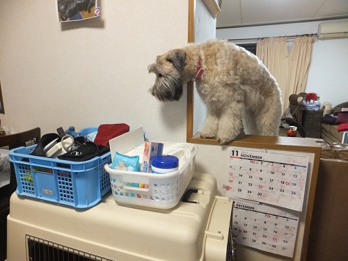 あなた、誰？