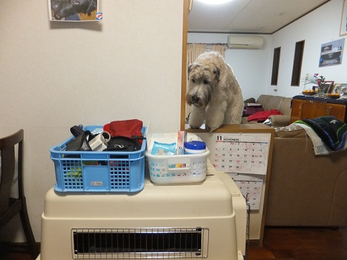 あなた、誰？