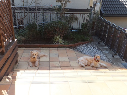 元気に歩こう！