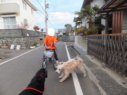 年の初めに！
