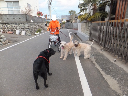 年の初めに！