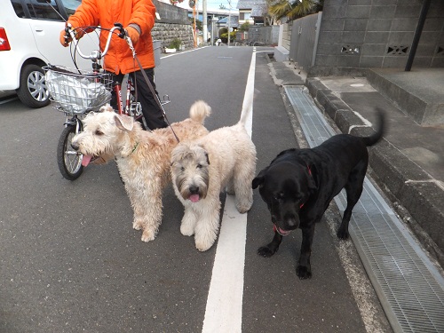 年の初めに！
