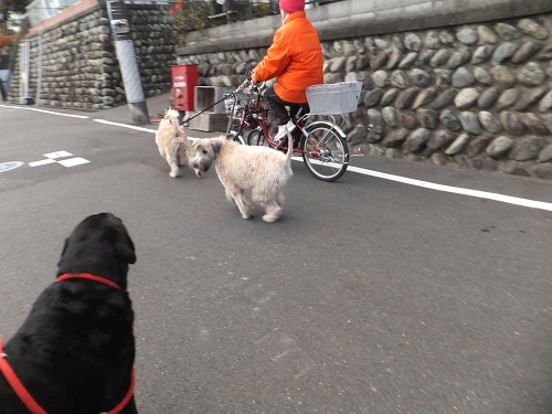 年の初めに！