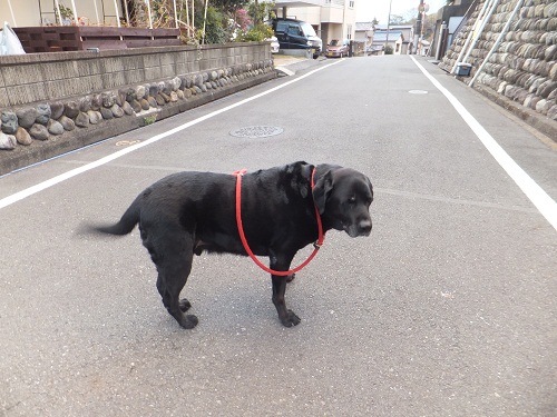 年の初めに！