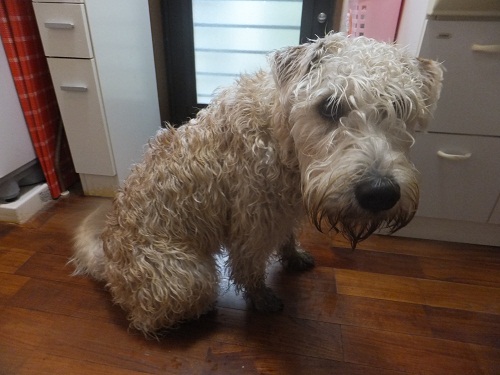 雨の日は・・・