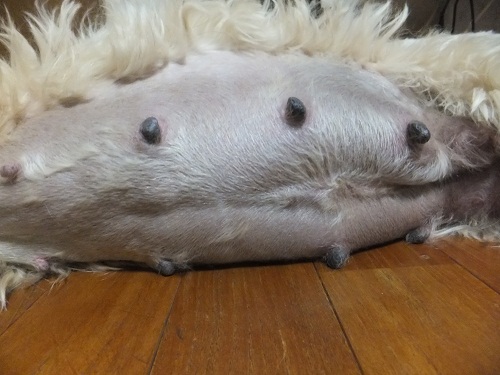 今から思いやられる・・・