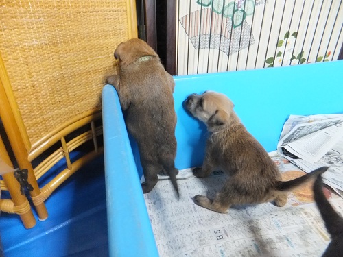 遊ぶのも楽じゃない？！
