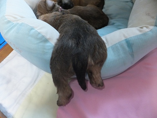 こんなの毎日！？