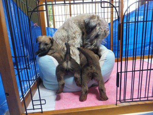 こんなの毎日！？