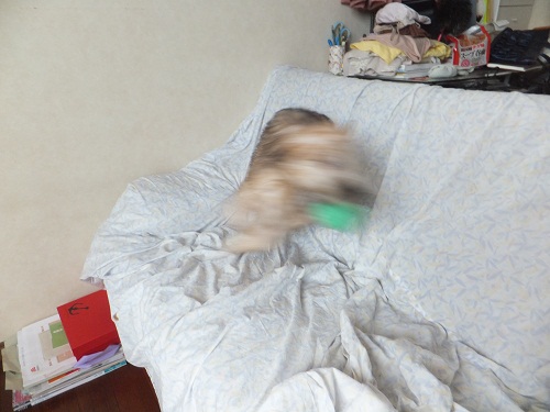 ついにこの日が来た～！