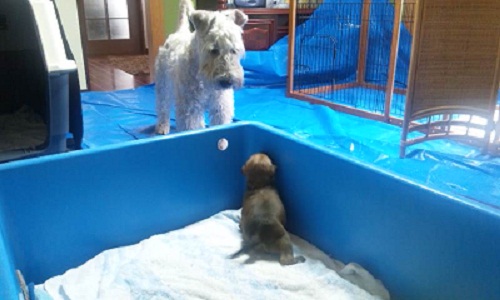 ようやくここまで・・・
