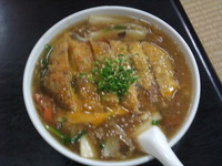 カツ中華麺の次はこれがお勧め｜天窓のように暑くない太陽光照明