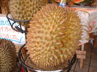 悪魔果物