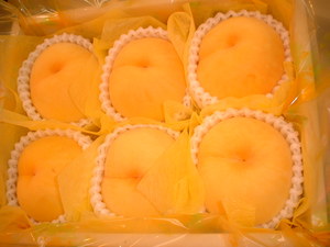 黄色い桃が美味しくなる・・・