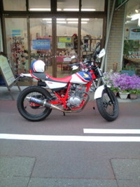 こぉ・・見えても☆