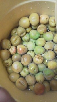 第２回目梅干し作りします！