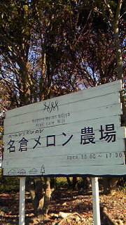 たまにはフルーツも