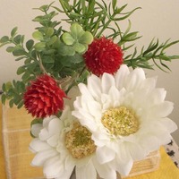 ぽかぽか陽気