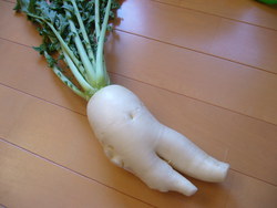 大根足