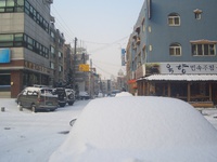 大雪が降りました